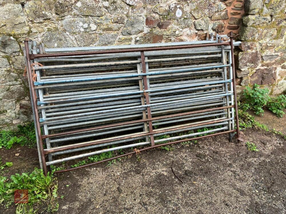 10 X 6' SHEEP HURDLES
