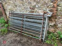 10 X 6' SHEEP HURDLES - 2