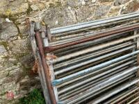 10 X 6' SHEEP HURDLES - 3