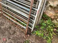 10 X 6' SHEEP HURDLES - 6