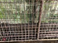 15' WALL MOUNTED HAY RACK PANELS - 6