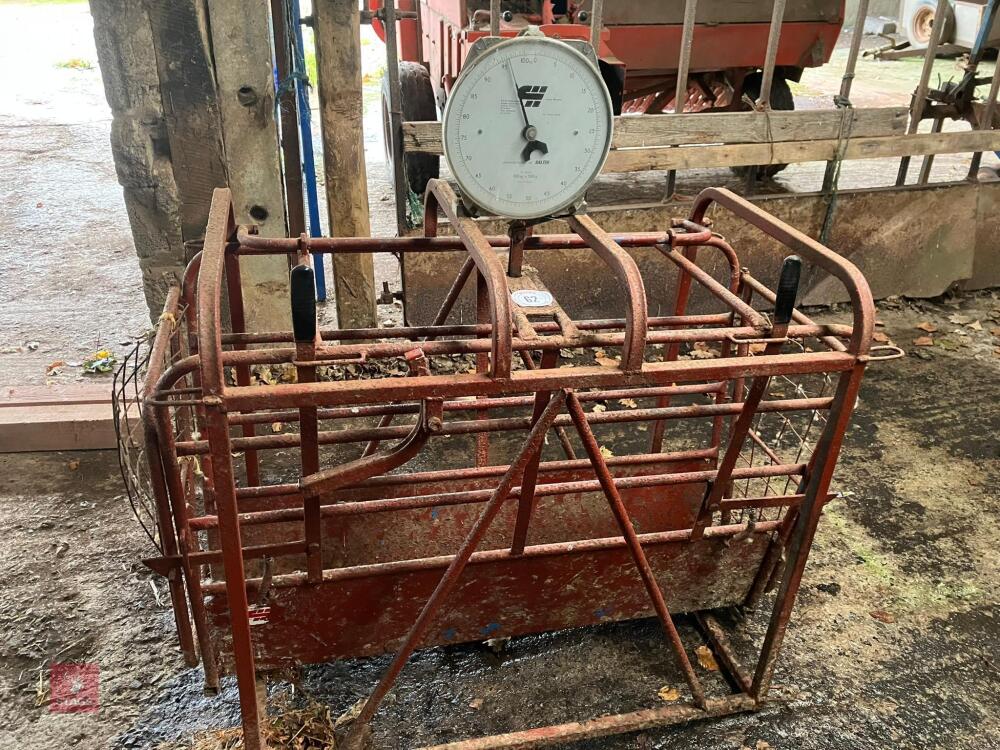 C & H SHEEP WEIGHER