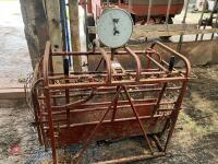 C & H SHEEP WEIGHER