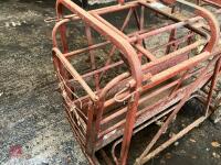 C & H SHEEP WEIGHER - 6