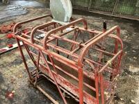 C & H SHEEP WEIGHER - 9