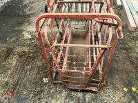 C & H SHEEP WEIGHER - 10