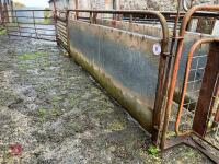 POLDENVALE SHEEP HANDLING SYSTEM - 2