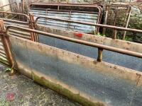 POLDENVALE SHEEP HANDLING SYSTEM - 5