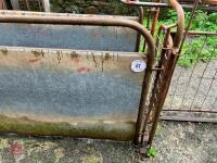 POLDENVALE SHEEP HANDLING SYSTEM - 11