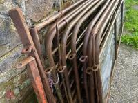 POLDENVALE SHEEP HANDLING SYSTEM - 12