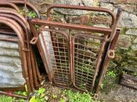 POLDENVALE SHEEP HANDLING SYSTEM - 16