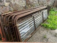 POLDENVALE SHEEP HANDLING SYSTEM - 17