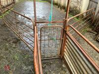 POLDENVALE SHEEP HANDLING SYSTEM - 19