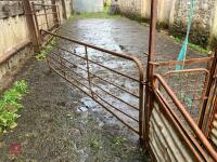 POLDENVALE SHEEP HANDLING SYSTEM - 23