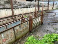 POLDENVALE SHEEP HANDLING SYSTEM - 25
