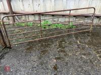 POLDENVALE SHEEP HANDLING SYSTEM - 27