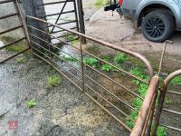 POLDENVALE SHEEP HANDLING SYSTEM - 30