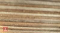 100 X 8' X 4' SHEETS OF PLYBOARD - 4