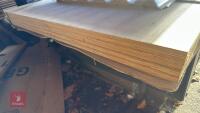 5 X 8' X 4' HARDWOOD PLYBOARD - 4