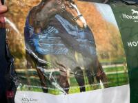 HORSEWARE 300G LINER - 2