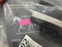 TEMPEST + 300 TURNOUT COMBO RUG - 2