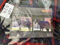 SHIRES TEMPEST PLUS 100 STABLE RUG - 4