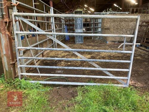 6' YARD GATE