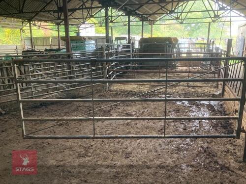 10' HEAVY DUTY YARD GATE
