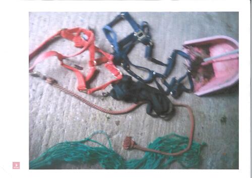 3 PONY HALTERS ETC