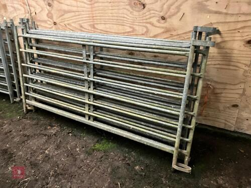 6 X 6' GALVANISED SHEEP HURDLES