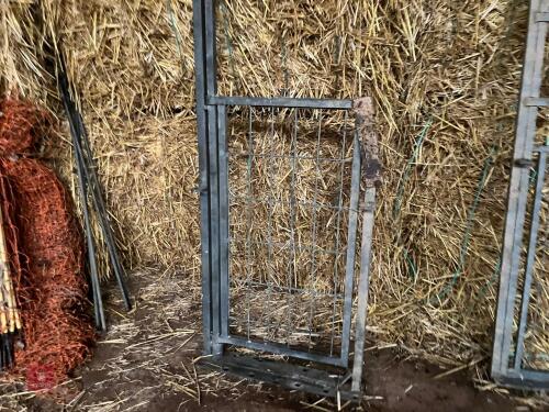 GALVANISED SHEEP RACE GATE