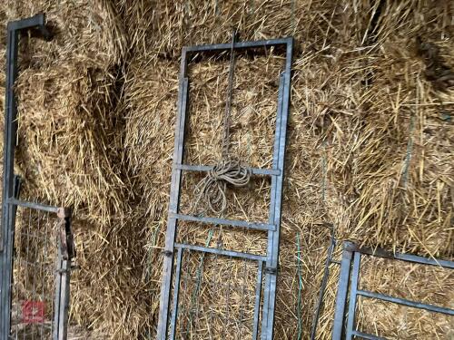 GALVANISED SHEEP RACE GUILLOTINE GATE