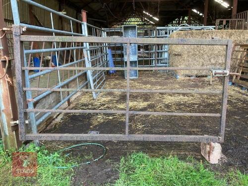 HEAVY DUTY YARD GATE