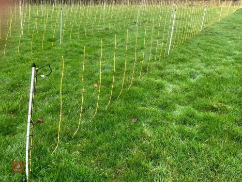 APPROX 45M OF SHEEP FLEXINET