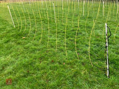 APPROX 45M OF SHEEP FLEXINET
