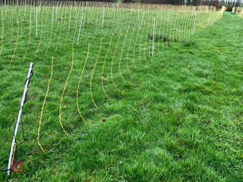 APPROX 45M OF SHEEP FLEXINET