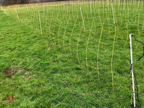 APPROX 45M OF SHEEP FLEXINET