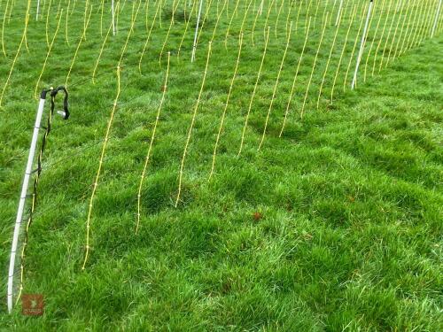 APPROX 45M OF SHEEP FLEXINET