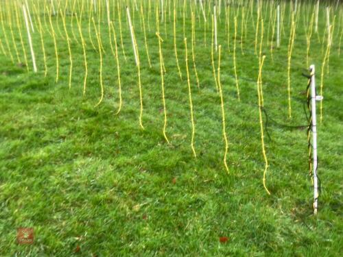 APPROX 45M OF SHEEP FLEXINET
