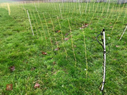 APPROX 45M OF SHEEP FLEXINET