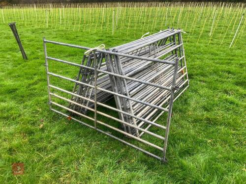 15 X 5' GALVANISED SHEEP HURDLES
