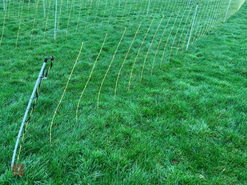 APPROX 45M OF SHEEP FLEXINET