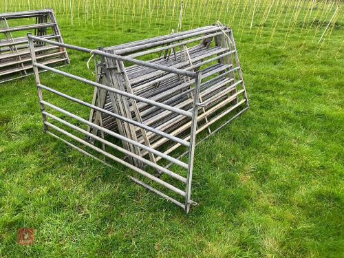 10 X 5' GALVANISED SHEEP HURDLES