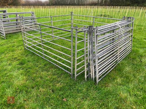 10 X 6' GALVANISED SHEEP HURDLES