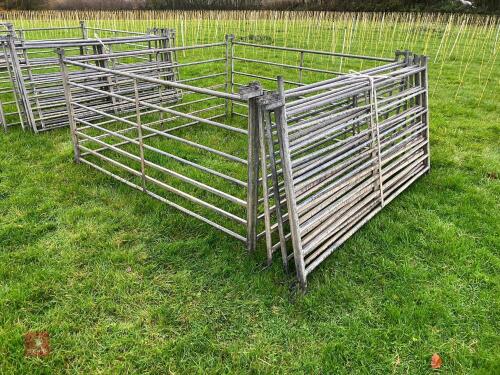 10 X 6' GALVANISED SHEEP HURDLES
