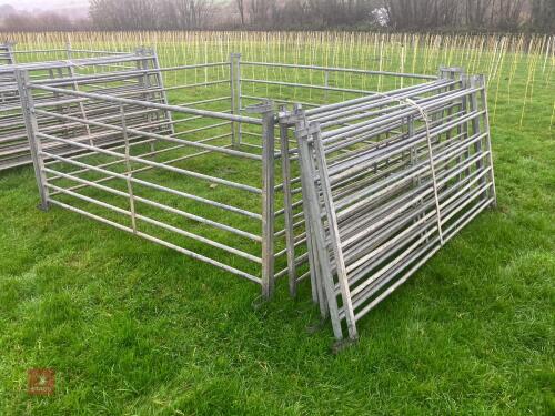 10 X 6' GALVANISED SHEEP HURDLES