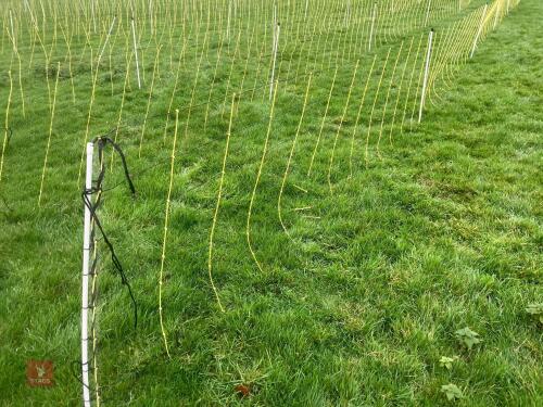 APPROX 45M OF SHEEP FLEXINET