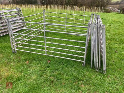 10 X 6' GALVANISED SHEEP HURDLES