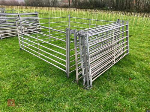 10 X 6' GALVANISED SHEEP HURDLES
