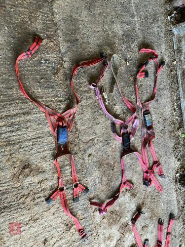 3 X RAM HARNESS'S
